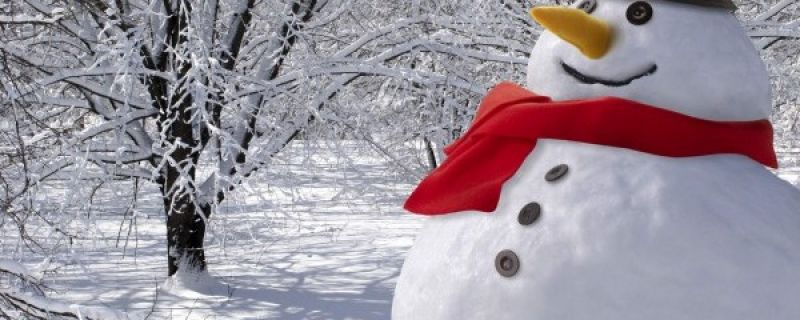 Habillez le bonhomme de neige en famille et aidez G4 Foundation